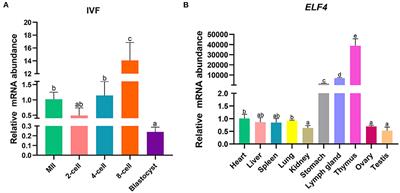 ELF4 is critical to zygotic gene activation and epigenetic reprogramming during early embryonic development in pigs